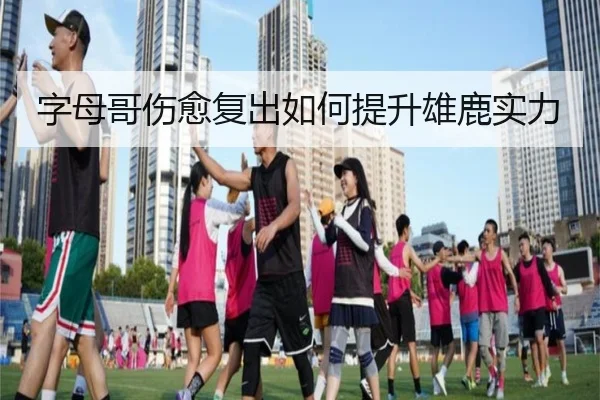 字母哥伤愈复出如何提升雄鹿实力