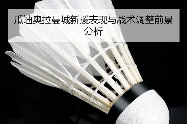 瓜迪奥拉曼城新援表现与战术调整前景分析